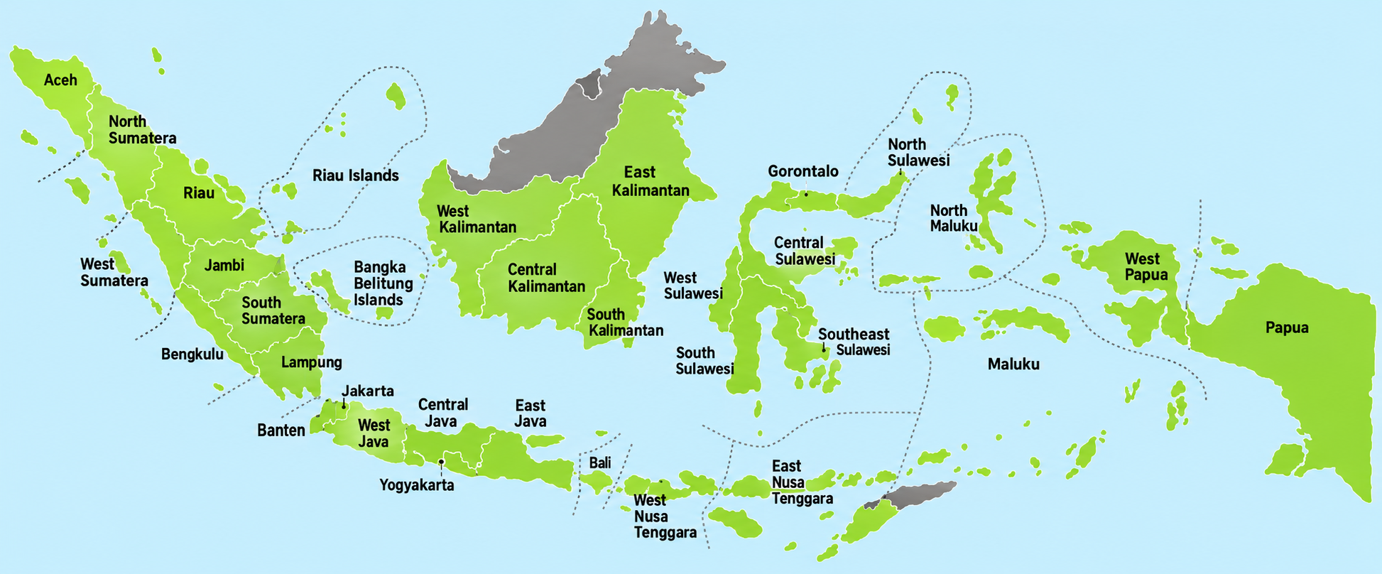 Peta Jaringan Logistik BSN Cargo Indonesia